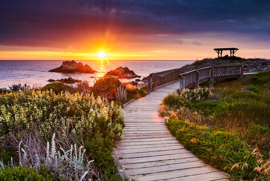 Boardwalk along Asilomar Dunes. Pacific Grove, CA