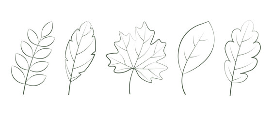 Fototapeta premium Outline leaves set isolated on white background