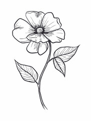 Single flower vector line art