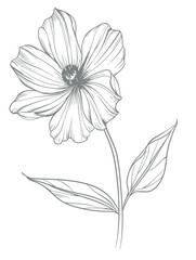 Single flower vector line art