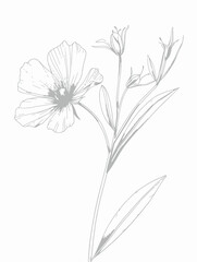 Single flower vector line art