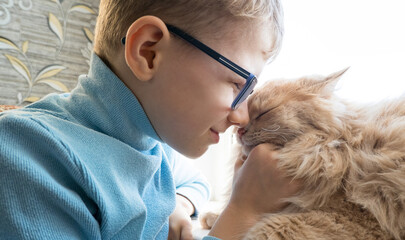 A child, a boy plays with his favorite fluffy red cat by the window. A child strokes a cat....