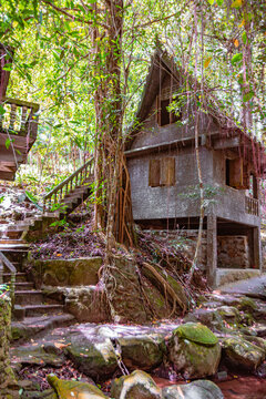 A small house with a tree growing out of the side of it in Ta Nim Magic Garden Thailand
