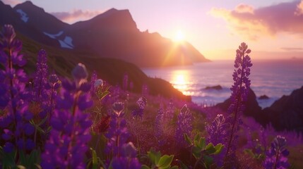Naklejka premium a field of purple flowers in front of a body of water with a mountain range in the background at sunset.