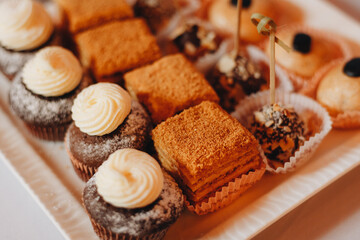 Beautifully decorated catering banquet table with different food snacks and appetizers with sandwich, caviar, fresh fruits on corporate christmas birthday party event or wedding celebration.