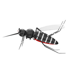 Mosquito da dengue 3D isolado