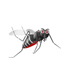 Mosquito da dengue 3D isolado