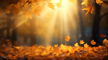 Autumn leaves in the forest illuminated by the soft glow of sunrise, with sun rays creating a mesmerizing bokeh background