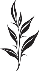 Exotic Oasis: Onekine Tropical Plant Leaves Black Icon Tropical Treasures: Onekine Exotic Plant Leaves Vector Logo