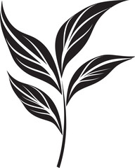 Lush Leafy Luxe: Exotic Onekine Plant Black Logo Icon Paradise Flora Essence: Onekine Tropical Leaves Vector Design