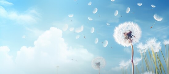 A dandelion flower is being carried by the wind in a blue sky with cumulus clouds, creating a beautiful natural landscape