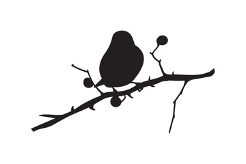 Birds on Tree Branch Bundle, Silhouette, Birds on Branches,  Birds Silhouette, Birds branch outline, Birds on Branch art, Flock of Birds, Birds, Bird on Tree Branch, Branch, Birds Avian, Feathers, Per