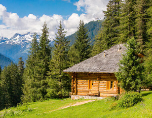 Fototapeta na wymiar Quaint log cabin nestled among forest trees in the mountains