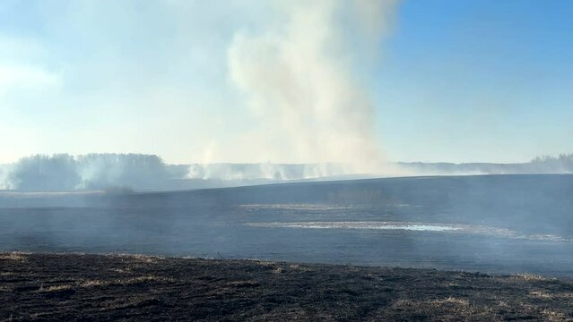 Fire on grass in farm field. Dry Grass Fires due to drought. Hot weather, heatwave. Depletion of water supplies dried land. Fire destroys crops on farm land. Forets burning. Forest fire burns grass