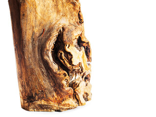 Wooden log with strange monster like deformation on white background. Abstract forest demon.