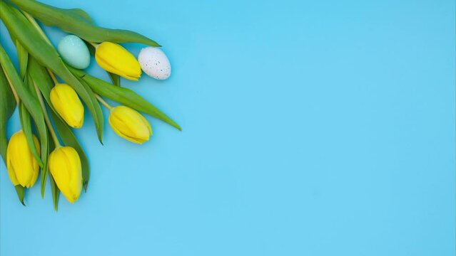 Easter stop motion animation. Assorted Easter eggs in shades of blue move on a blue background next to beautiful yellow tulips with a delicate purple ribbon.