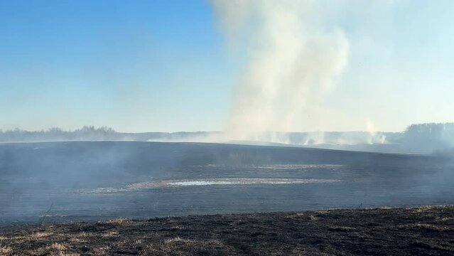 Fire on grass in farm field. Dry Grass Fires due to drought. Hot weather, heatwave. Depletion of water supplies dried land. Fire destroys crops on farm land. Forets burning. Forest fire burns grass
