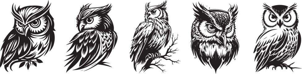detailed owl sketch with fine elements, black vector graphic laser cutting engraving