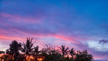 Obraz premium Twilight golden hours sunset sky with tree silhouette foreground