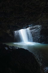 Springbrook Glow Worms Cave. National Park in Queensland, Australia. Vertical