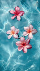 Pink plumeria flowers delicately float in the serene pool water, creating a scene of serenity and natural beauty. Pink petals in water in top view.