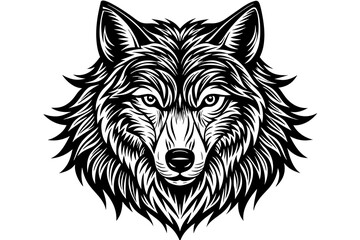 Illustration of wolf