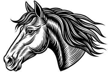 Horse head vector