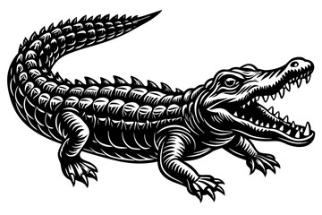 Illustration of a crocodile