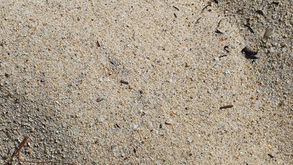 Szary piasek na plaży. © PhonePhotoBlog