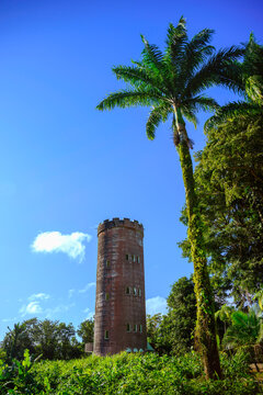 Yokahu Tower or Torre Yokahú Observation tower, at elevation 1,575 feet, in El Yunque National Forest Tropical Rainforest and National Reserve, Rio Grande, Puerto Rico, USA