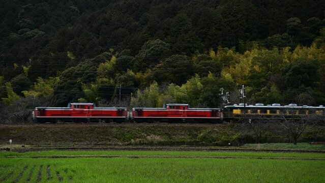 DD51重連に牽引されるサロンカーなにわ （東海道本線 安土 - 能登川, 2024年3月）