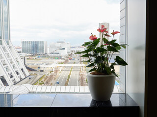 オフィスビルの窓側に設置された花の様子