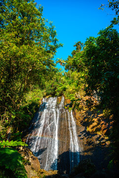 La Coca Falls in El Yunque National Forest Tropical Rainforest and National Reserve in Rio Grande, Puerto Rico, USA