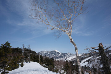 冬の岩菅山