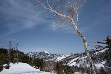 冬の岩菅山