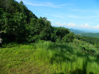 The original view of green grass and mountains with a natural sky background in Indonesia