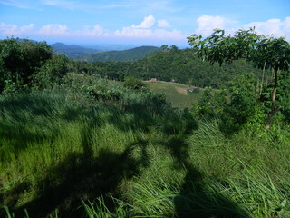 The original view of green grass and mountains with a natural sky background in Indonesia