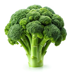 broccoli on a white background