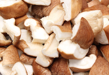 edible mushroom details. sliced ​​mushroom to prepare the meal. mushroom details.