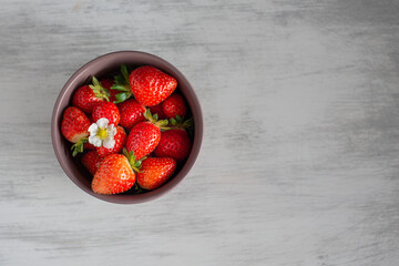 Red strawberry and one flower  in a small bowl on a light grey surface 