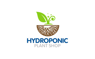Illustration vector graphic of modern hydroponic farm with natural green leaf concept logo design