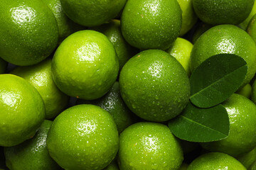 Fresh ripe limes and leaves with water drops as background, top view