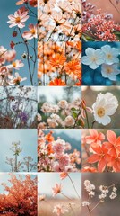 Wild Flowers of many varieties, many different types,  vibrant colours, Beautiful Blooms and Petals, Botanical Floral Detail, Gardening content for design projects
