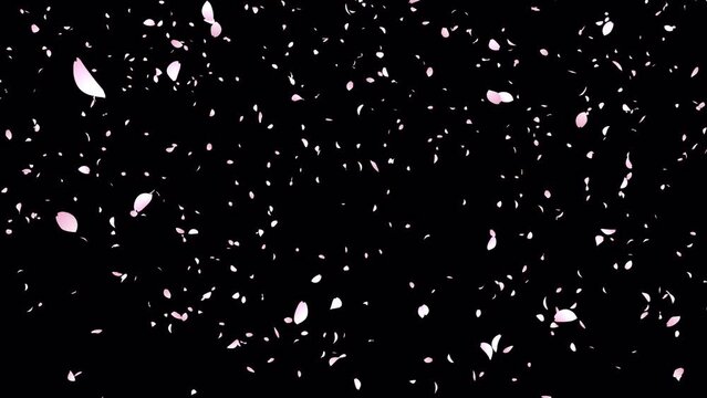 桜吹雪のアニメーション　アルファチャンネル付き　上から下にまっすぐ舞い散るバージョン