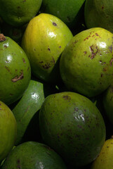 Verduras,aguacates para una rica ensalada.