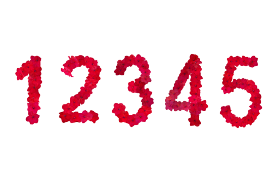 Image of red flowers arranged to form the number 12345, isolated on a png file with a transparent background.