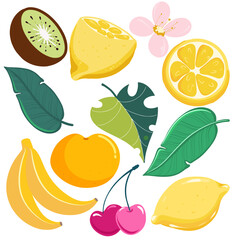 Set fruit with flowers yellow fresh citrus lemon orange kivi banana healthy fruit wallpaper with green leaf  monstera vector hand drawing 