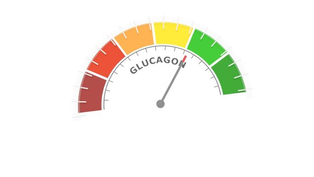 Glucagon peptide hormone level on measure scale. Instrument scale with arrow. Colorful infographic gauge element. Glucagon is produced in the pancreas and has the opposite effect of insulin.