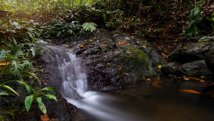 small waterfall in the jungle 