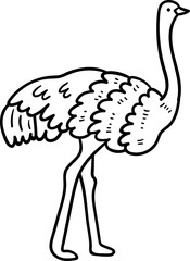 ostrich